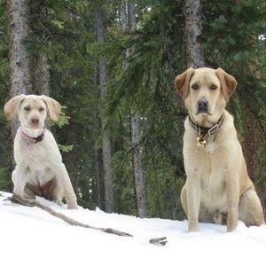 Meet your Posher, Glenn